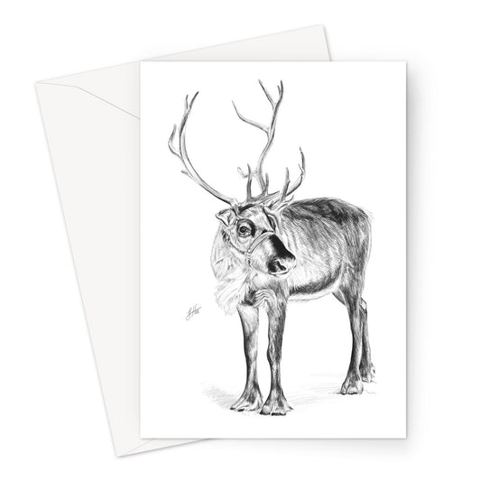 Reindeer Large Christmas Card Greeting Card