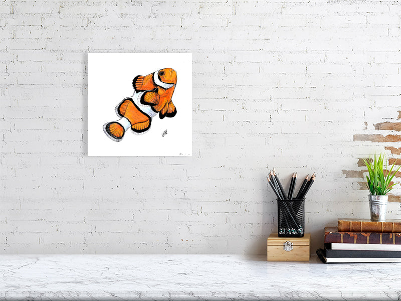 Medium size unframed ink and watercolour artwork of a bright orange and white clownfish, hanging on a white brick wall above a desk.