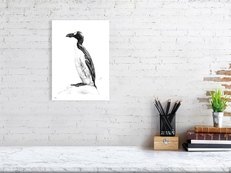 A large unframed pencil drawing of a Great Auk, featuring an aquatic black and white bird perching on a rock and looking to the left. The picture hangs on a white brick wall above a desk.