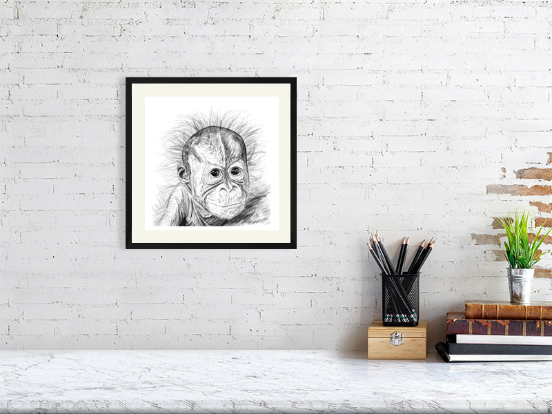 A medium size framed pencil drawing of a baby orangutan with fluffy hair sticking out from its head. Signed by Sophie Hall and hanging on a white brick wall over a desk.