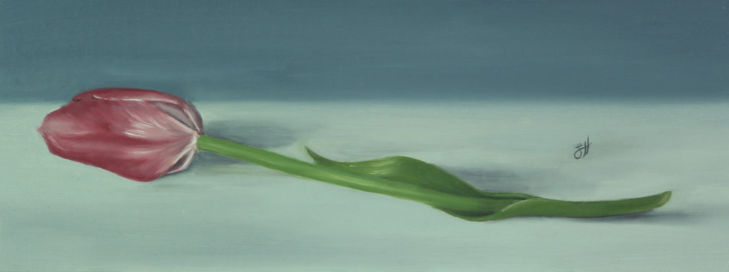 Pink Tulip Oil Painting