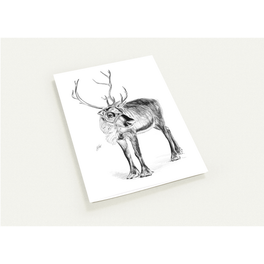 Reindeer Greetings Cards (Pack of 10)