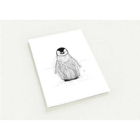 Baby Penguin Greetings Cards (Pack of 10)