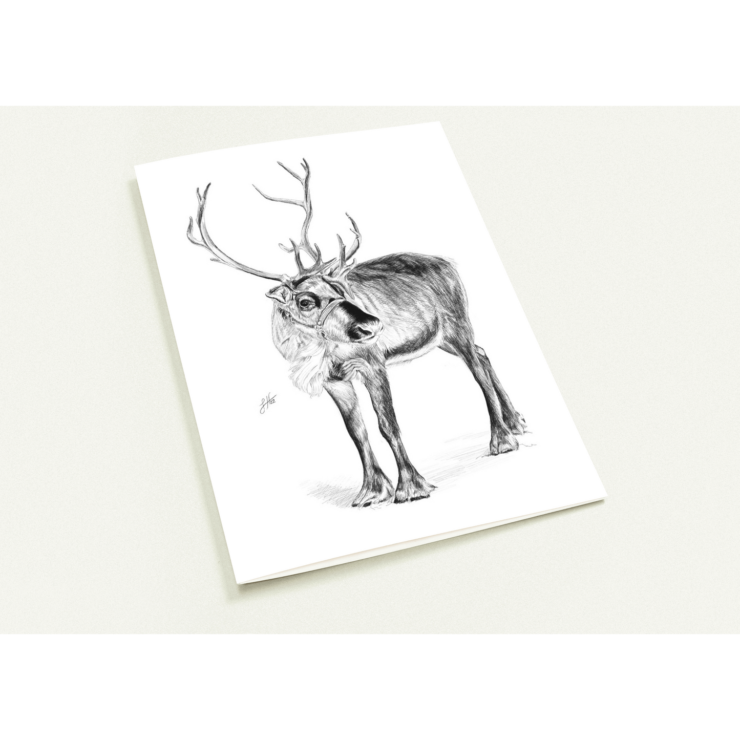 Reindeer Greetings Cards (Pack of 10)
