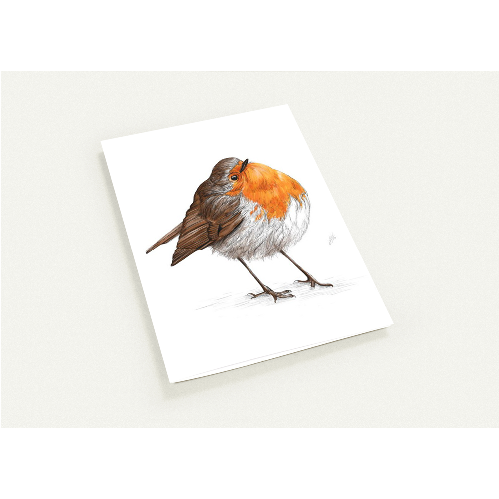 Chubby Robin Greetings Cards (Pack of 10)