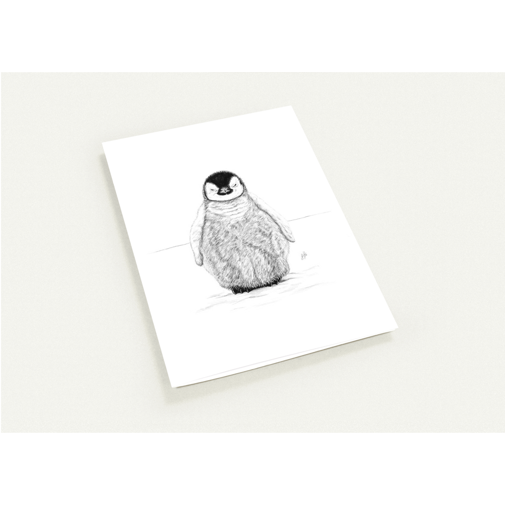 Baby Penguin Greetings Cards (Pack of 10)