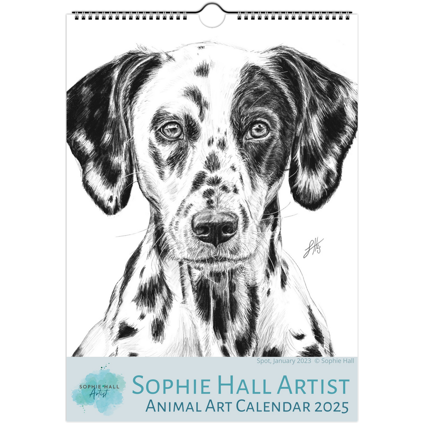 Calendar cover with a black and white drawing of a dalmatian dog, featuring the Sophie Hall Artist branding.