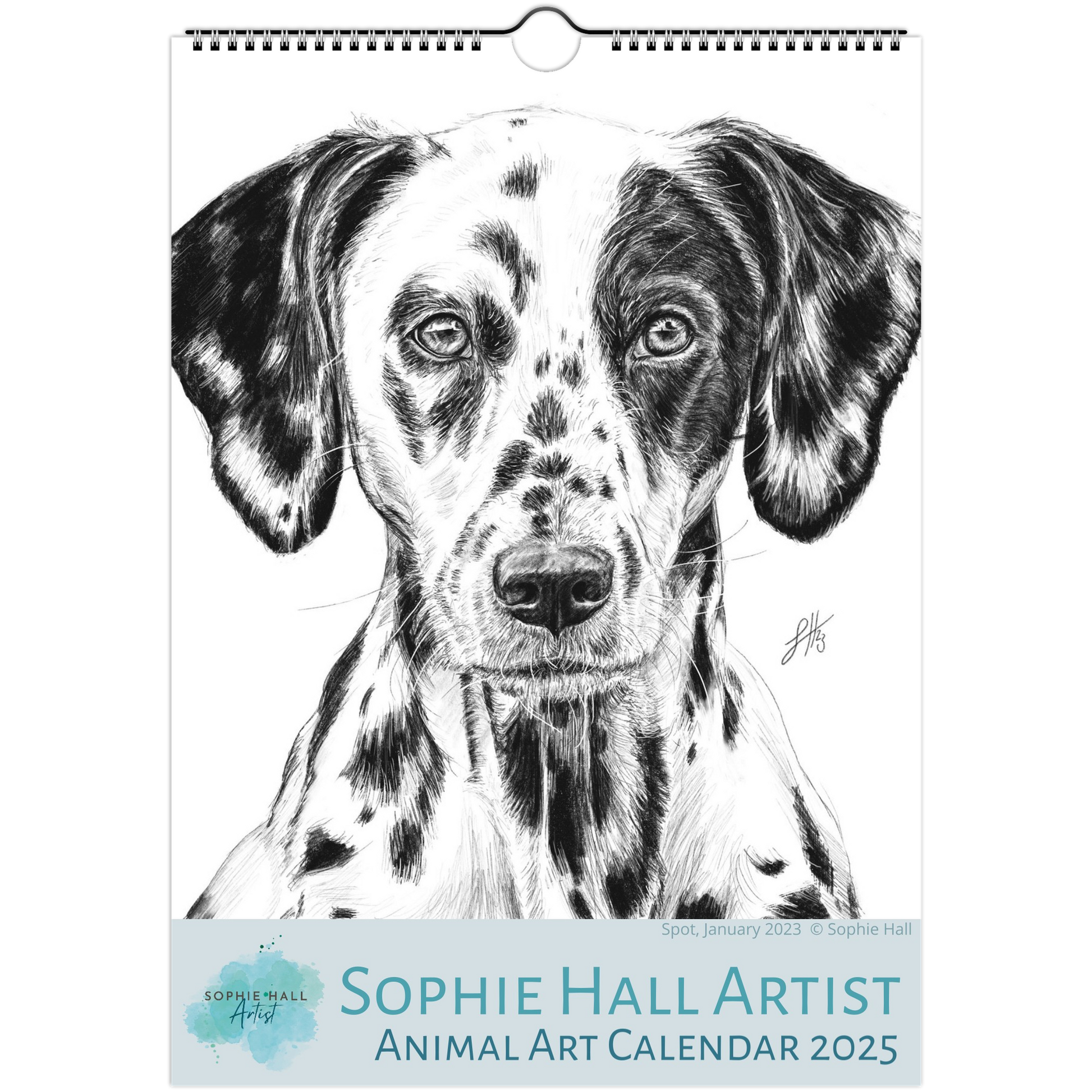 Calendar cover with a black and white drawing of a dalmatian dog, featuring the Sophie Hall Artist branding.
