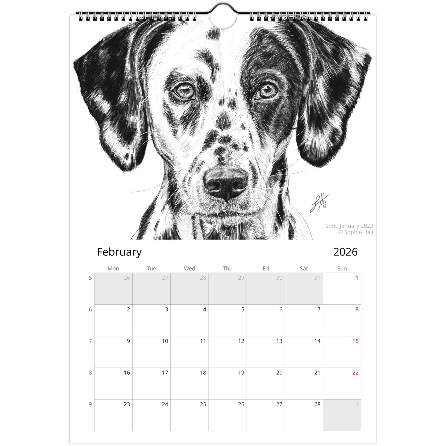 Calendar page for February 2026 with a black and white dog pencil drawing on a white background