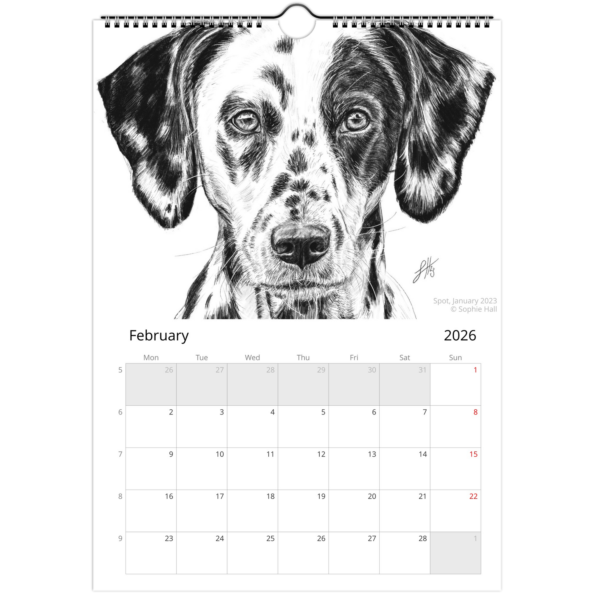 Calendar page for February 2026 with a black and white dog pencil drawing on a white background