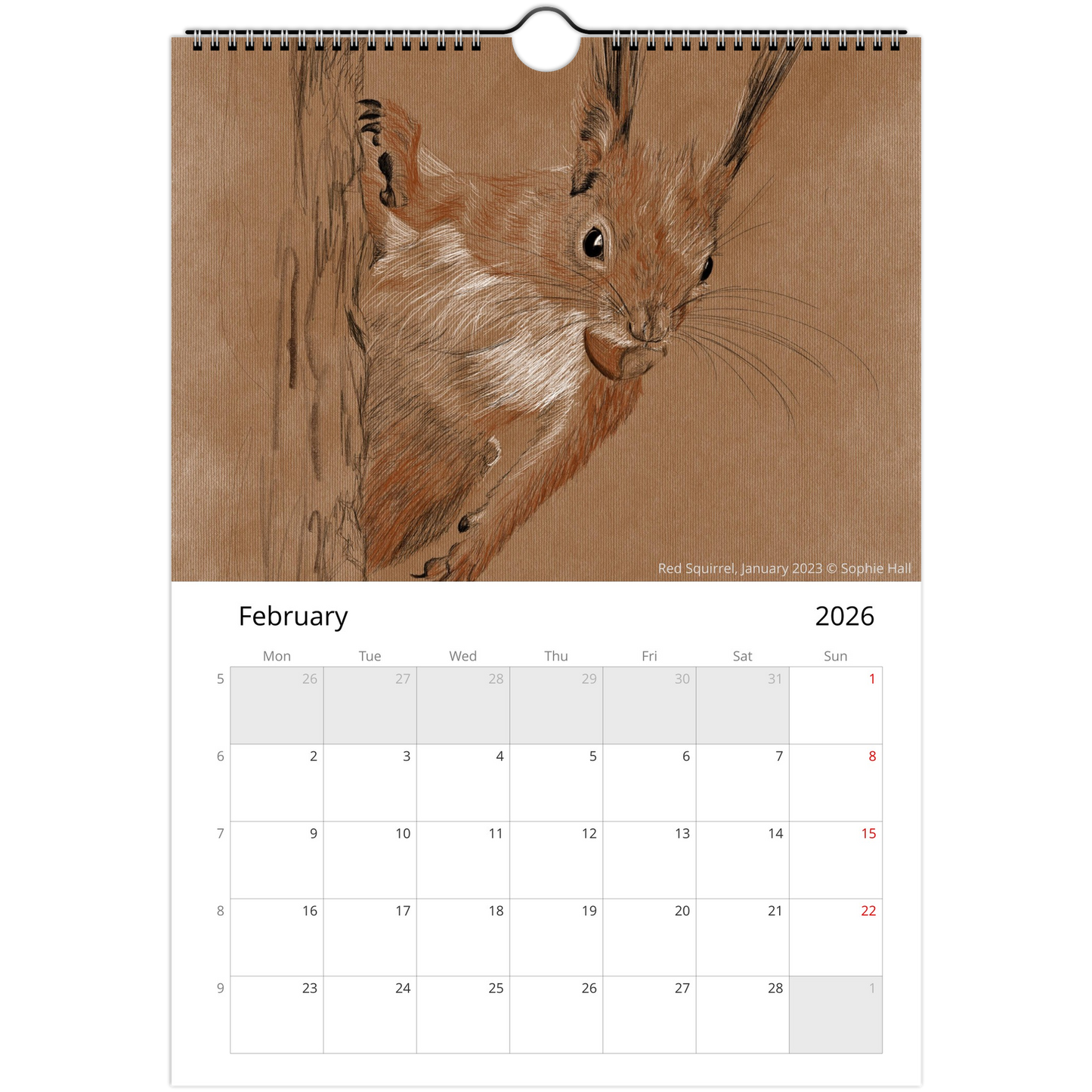 Calendar page for February 2026 featuring a red squirrel illustration.