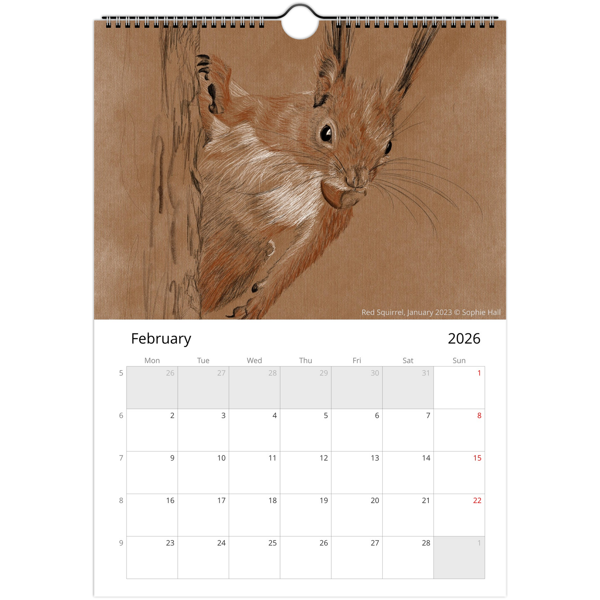 Calendar page for February 2026 featuring a red squirrel illustration.