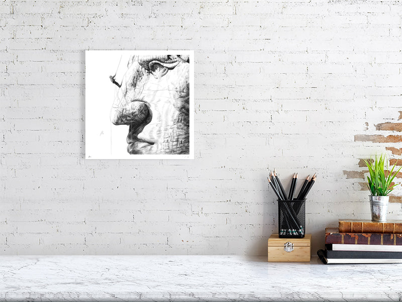 Pencil drawing of Crazy Horse monument hanging unframed on a white brick wall