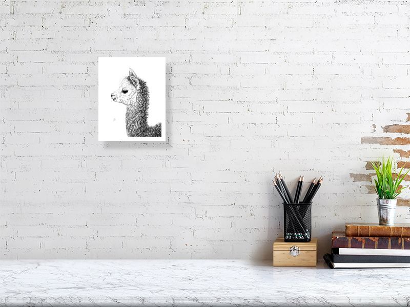 Small unframed drawing of an alpaca, hanging on a white brick wall