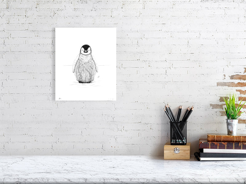A medium size unframed detailed pencil drawing of a fluffy baby emperor penguin on a white background, signed by Sophie Hall and hanging on a white brick wall over a desk.
