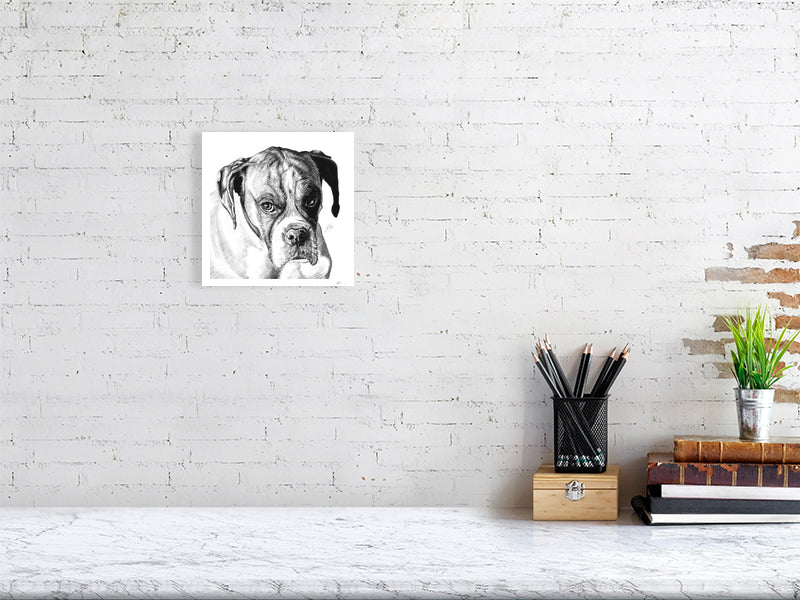 A small unframed pencil drawing of a boxer dog with a sombre expression, printed on a white background and hanging on a white brick wall over a desk.