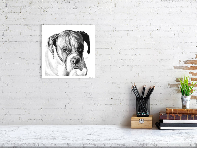 A medium unframed pencil drawing of a boxer dog with a sombre expression, printed on a white background and hanging on a white brick wall over a desk.