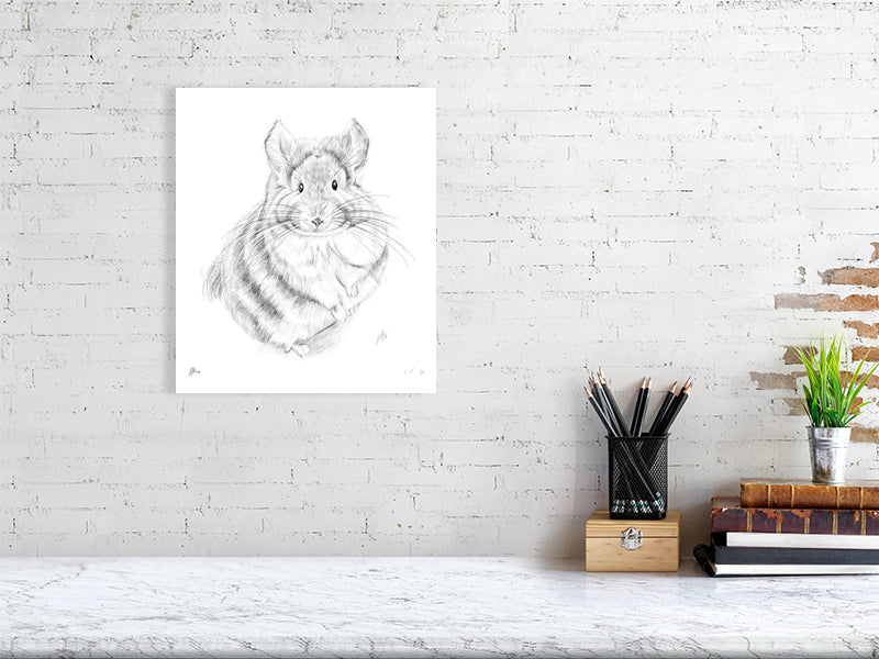 A large unframed pencil drawing of a chinchilla on a white paper background, hanging on a white brick wall over a marble desk.