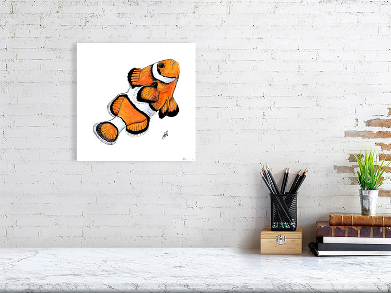 Large unframed ink and watercolour artwork of a bright orange and white  clownfish, hanging on a white brick wall above a desk.