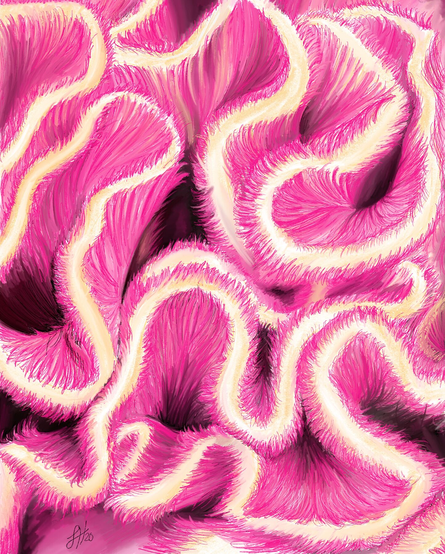A vibrant coloured pencil artwork of coral featuring pink and white colours with intricate patterns.