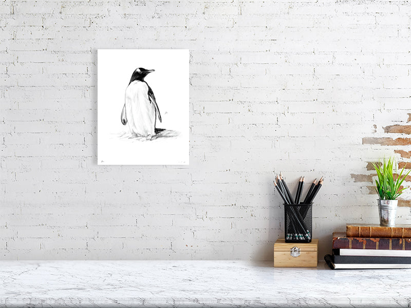 A medium sized unframed print of detailed pencil drawing of a Gentoo penguin looking off to the right of the frame. Artwork hangs on a white brick wall.