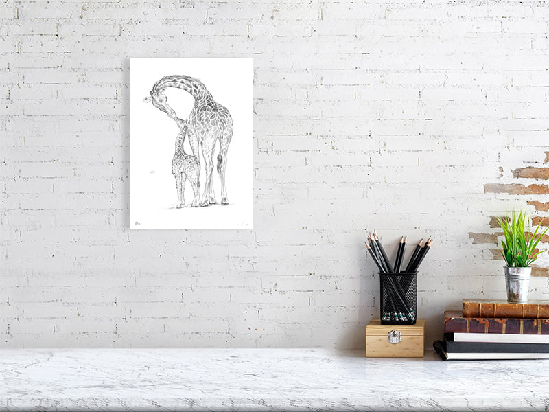 A medium unframed pencil drawing of a mother giraffe and her baby, by Sophie Hall, hanging on a white brick wall above a desk.