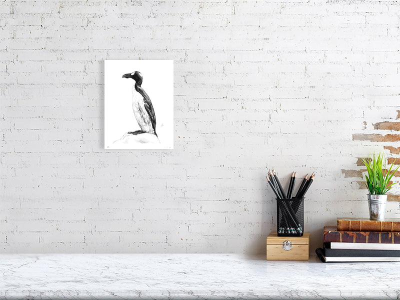 A small unframed pencil drawing of a Great Auk in profile, featuring an aquatic black and white bird perching on a rock and looking to the left. The picture hangs on a white brick wall above a desk.