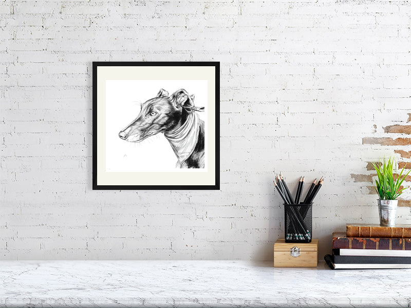 A medium framed  monochrome pencil portrait of a greyhound dog with an intense expression. Signed by Sophie Hall and hanging on a white brick wall above a desk.