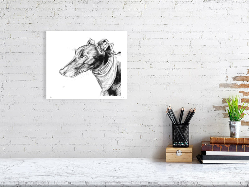 A medium unframed  monochrome pencil portrait of a greyhound dog with an intense expression. Signed by Sophie Hall and hanging on a white brick wall above a desk.