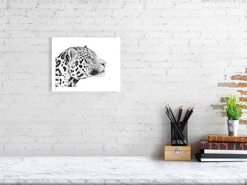 A small pencil portrait drawing of a jaguar with a detailed and lifelike depiction, hanging on a white brick wall above a desk.