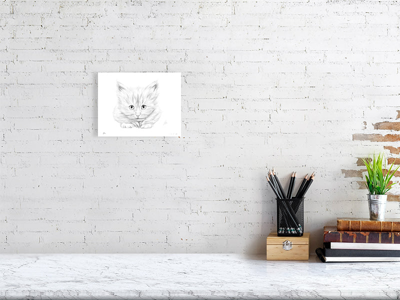 A small unframed pencil drawing of a white kitten with an intent expression. Signed in the right corner and hanging on a white brick wall over a desk.