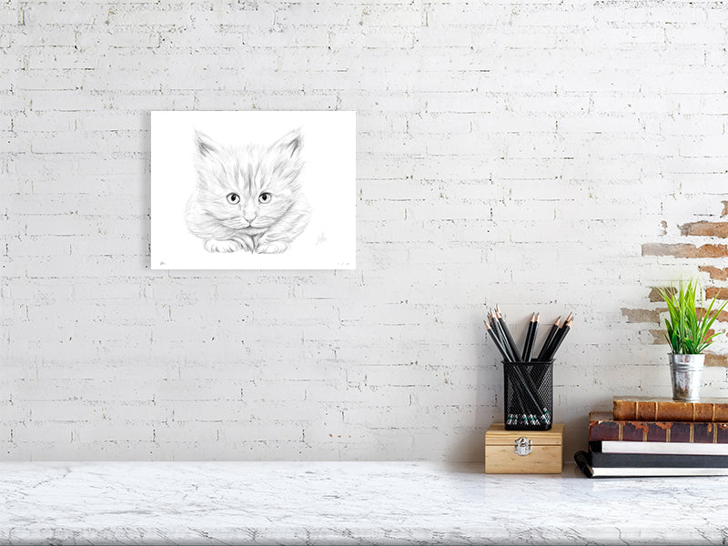 A medium unframed pencil drawing of a white kitten with an intent expression. Signed in the right corner and hanging on a white brick wall over a desk.