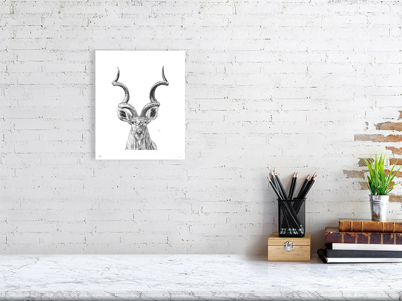 A medium size unframed pencil drawing of a Kudu, a type of South African antelope, with twisting horns and two large ears, hanging on a white brick wall above a desk.
