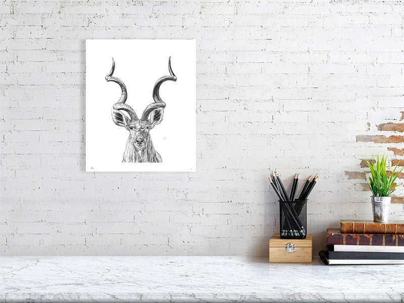 A large unframed pencil drawing of a Kudu, a type of South African antelope, with twisting horns and two large ears, hanging on a white brick wall above a desk.