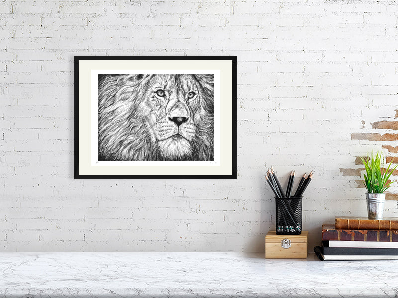 A large framed detailed pencil drawing of a lion's face gazing pensively into the distance, signed by Sophie Hall and hanging on a white brick wall above a desk.