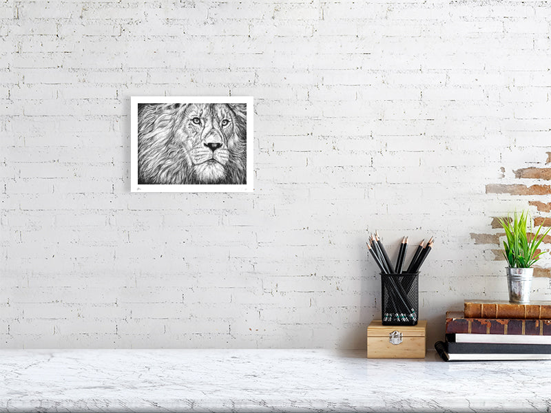 A small unframed detailed pencil drawing of a lion's face gazing pensively into the distance, signed by Sophie Hall and hanging on a white brick wall above a desk.