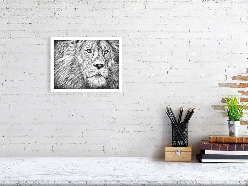 A medium unframed detailed pencil drawing of a lion's face gazing pensively into the distance, signed by Sophie Hall and hanging on a white brick wall above a desk.