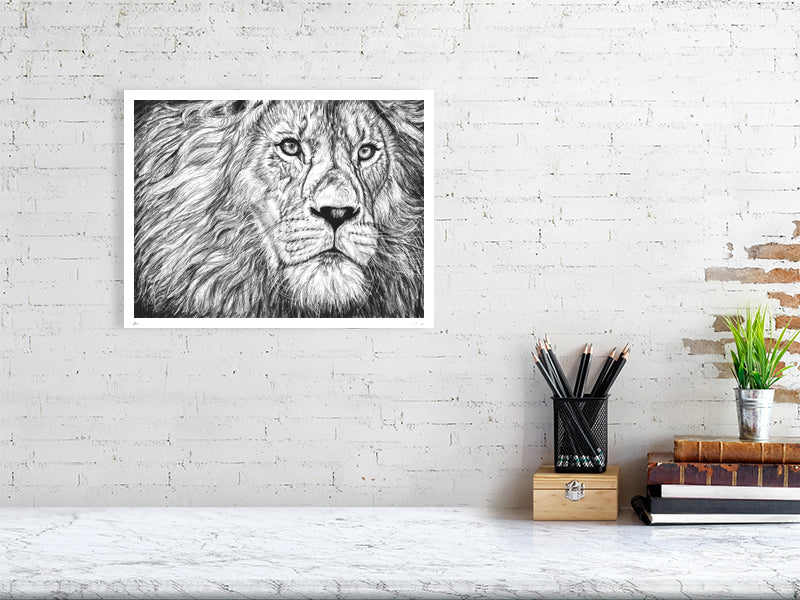 A large unframed detailed pencil drawing of a lion's face gazing pensively into the distance, signed by Sophie Hall and hanging on a white brick wall above a desk.
