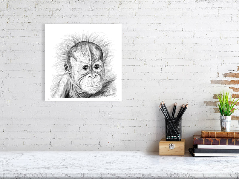 A large unframed pencil drawing of a baby orangutan with fluffy hair sticking out from its head. Signed by Sophie Hall and hanging on a white brick wall over a desk.