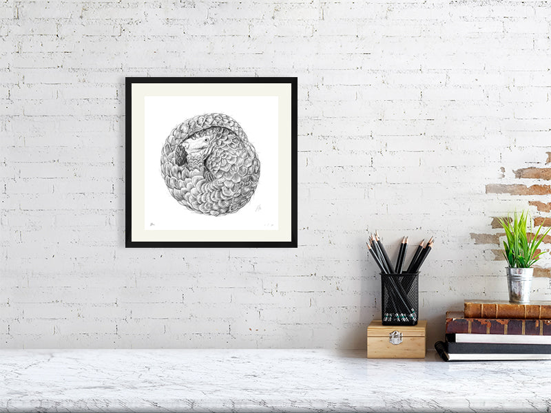 Medium size framed pencil drawing of a curled up pangolin with a fractal coil design. Signed by Sophie Hall and hanging on a white brick wall above a desk.