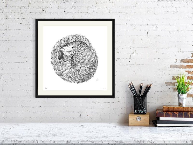 Medium size framed pencil drawing of a curled up pangolin with a fractal coil design. Signed by Sophie Hall and hanging in a black frame on a white brick wall above a desk.