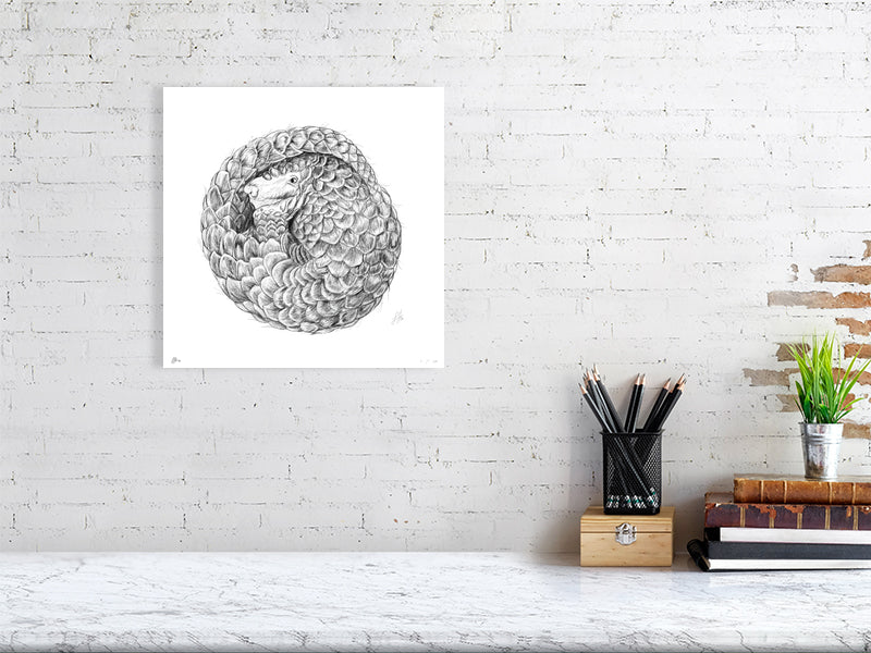 Large unframed pencil drawing of a curled up pangolin with a fractal coil design. Signed by Sophie Hall and hanging on a white brick wall above a desk.