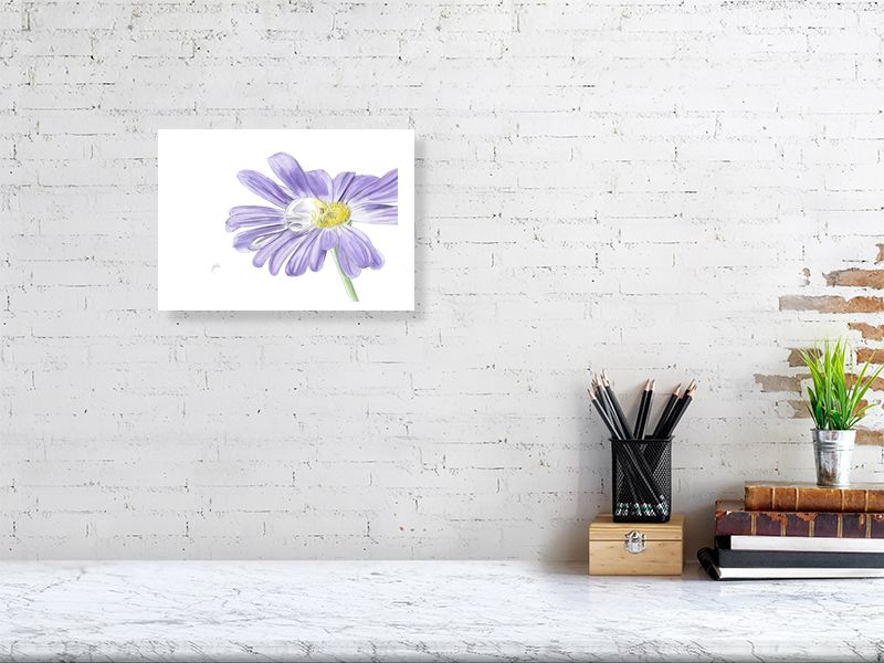 A small unframed watercolour and pencil drawing of a purple daisy with a visible drop of water on its petal. Signed in the corner and hanging on a white brick wall over a desk.
