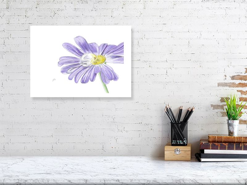 A large unframed watercolour and pencil drawing of a purple daisy with a visible drop of water on its petal. Signed in the corner and hanging on a white brick wall over a desk.