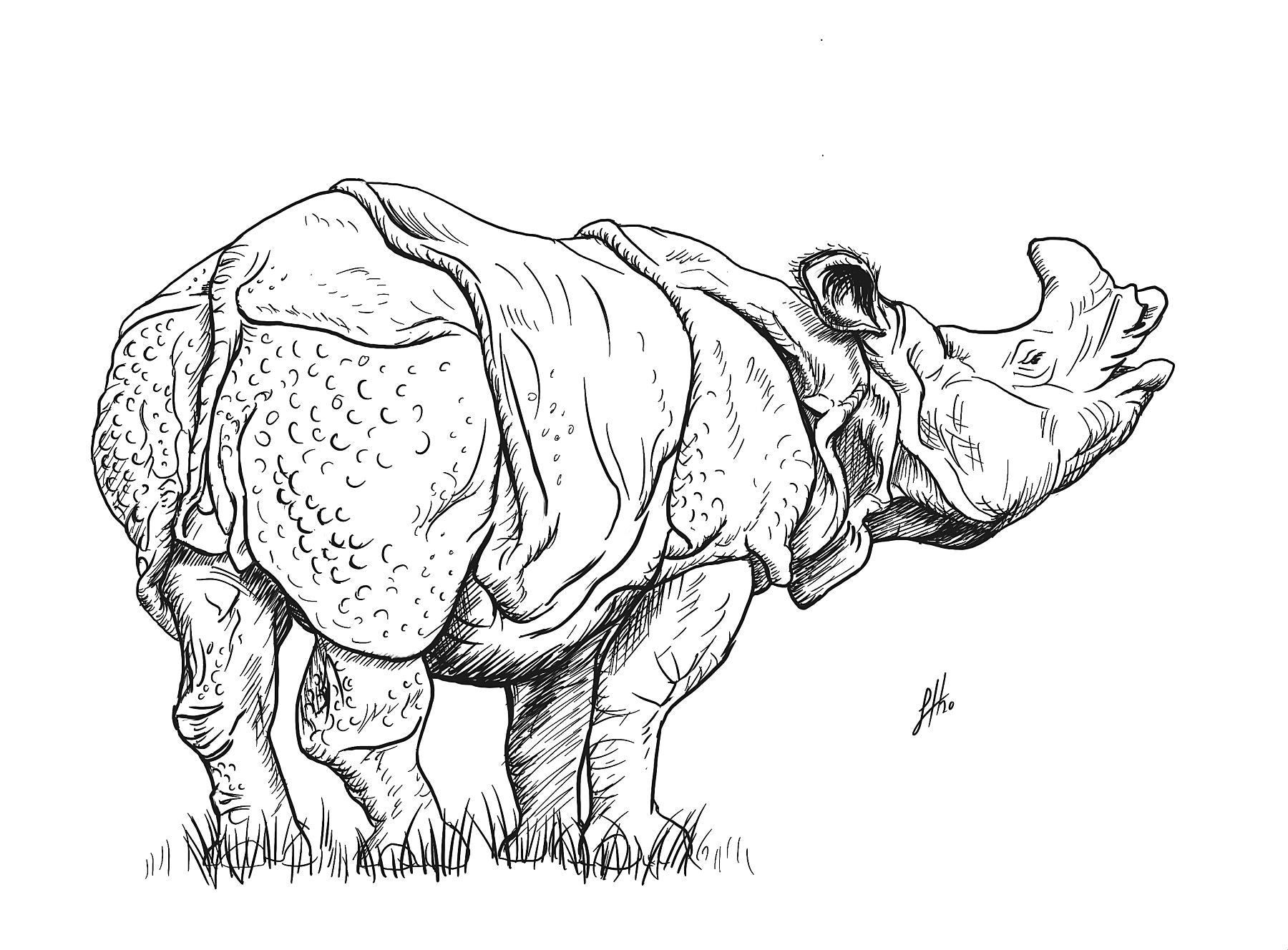 A contemporary ink drawing of a rhinoceros, showcasing its life-like features. Monogram signed by Sophie Hall.