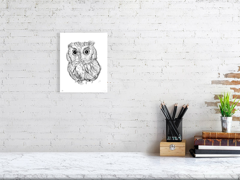 A small unframed pencil drawing of a baby screech owl with prominent eyes and fluffy feathers, hanging on a white brick wall over a desk.
