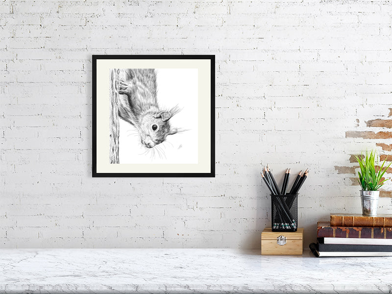 A medium framed pencil drawing of a squirrel climbing down a tree trunk and looking curiously at the viewer, signed in the corner and hanging on a white rick wall above a desk.