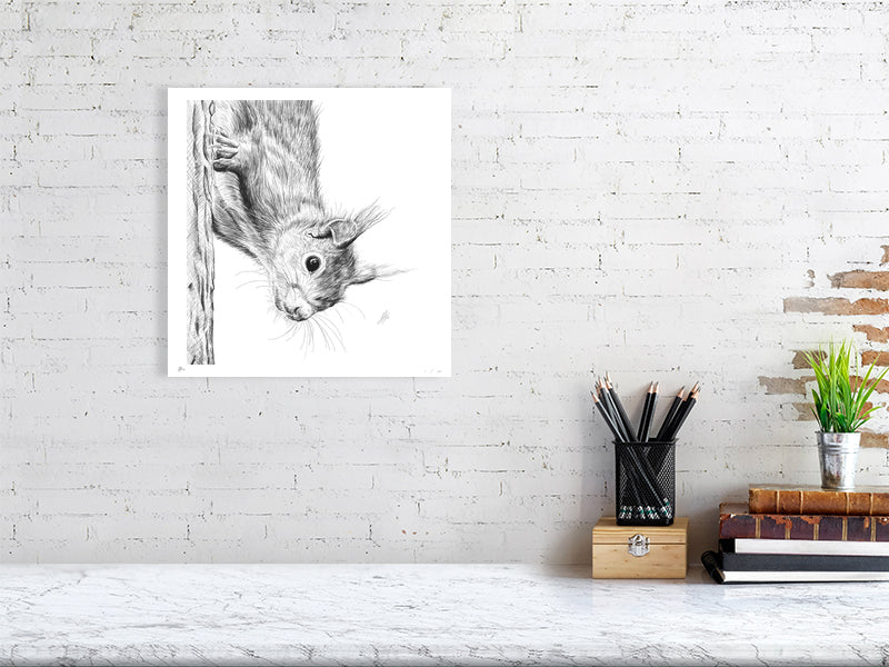A medium unframed pencil drawing of a squirrel climbing down a tree trunk and looking curiously at the viewer, signed in the corner and hanging on a white rick wall above a desk.