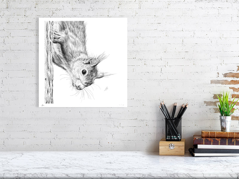 A large unframed pencil drawing of a squirrel climbing down a tree trunk and looking curiously at the viewer, signed in the corner and hanging on a white rick wall above a desk.