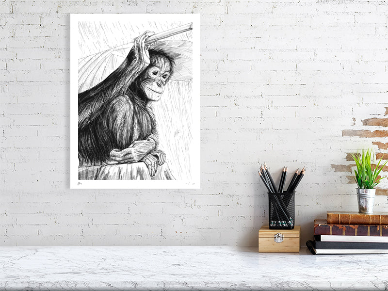 A large unframed pencil drawing of a young orangutan sitting on a log in the rain holding a large leaf as an umbrella. Signed and numbered by Sophie Hall and hanging on a white brick wall above a desk.